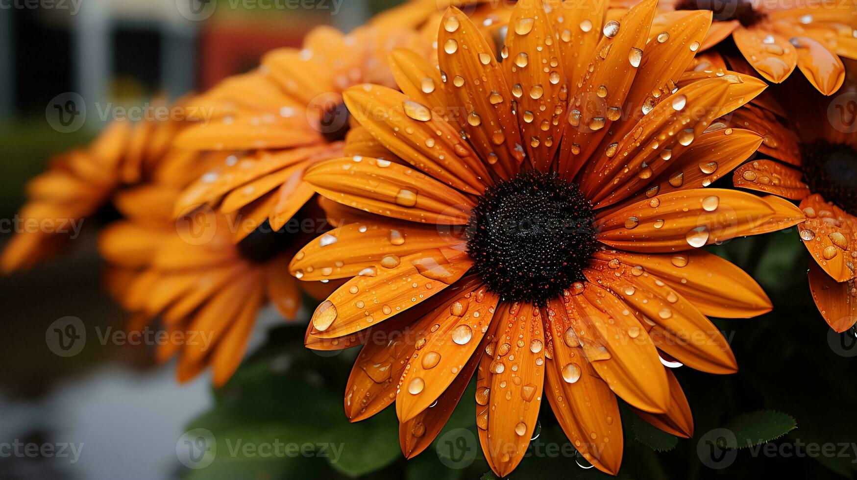 un grupo de púrpura rosas con agua gotas en ellos ai generativo foto