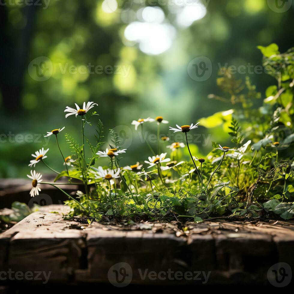 a field of colorful flowers with a blue sky in the background AI Generative photo