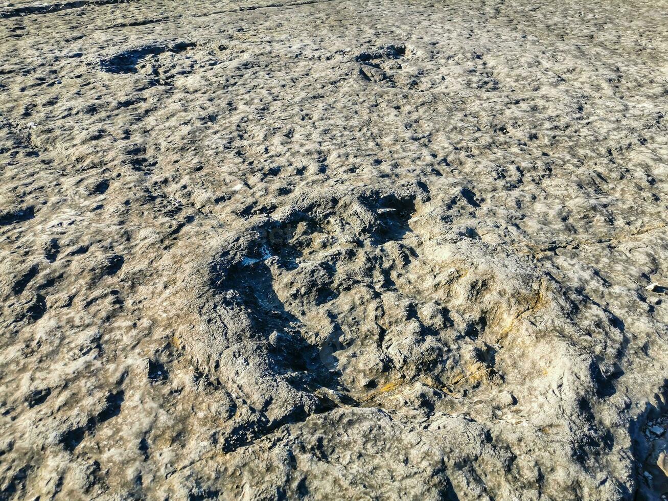 Natural monument of fossil dinosaur footprints in Serra D 'Aire in Pedreira do Galinha, in Portugal. A pedagogical circuit was created at the site, where visitors can see and touch the footprints photo