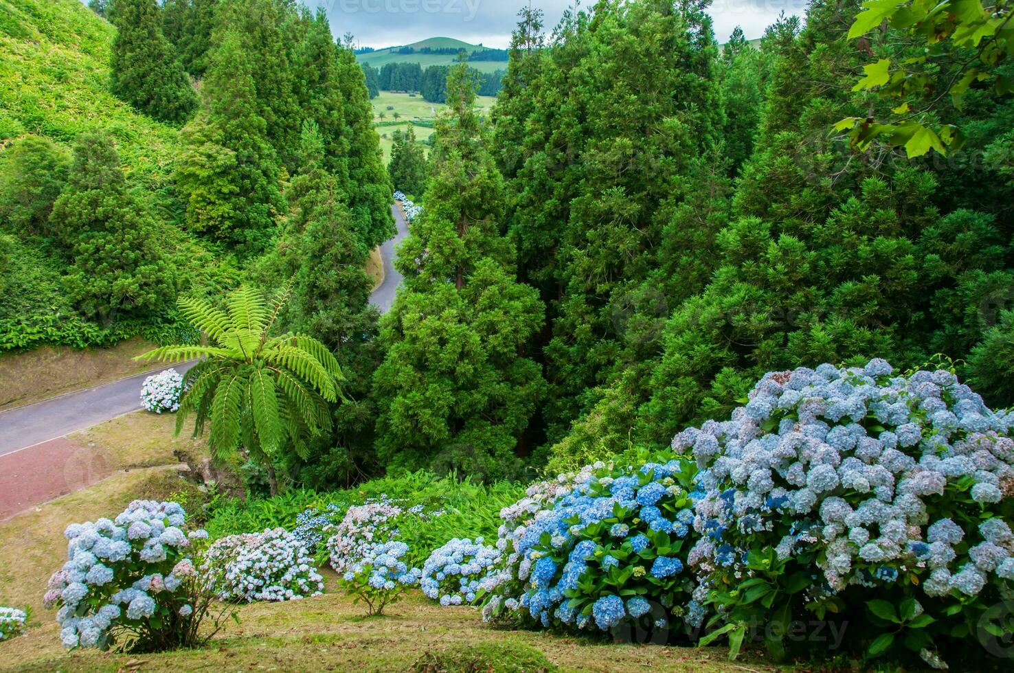 típico paisaje de el azores archipiélago en Portugal foto