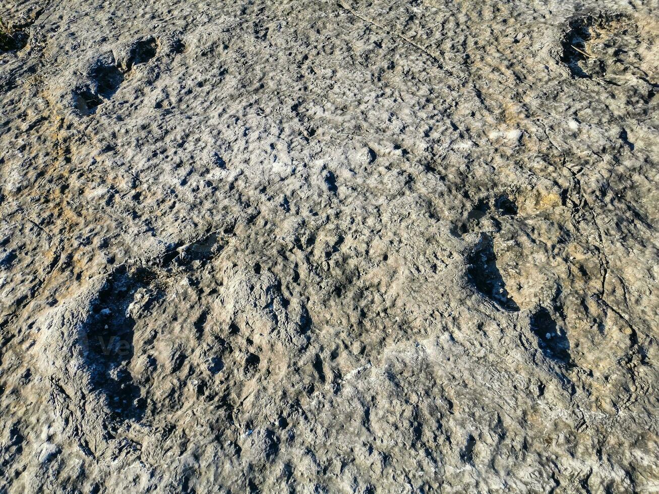 Natural monument of fossil dinosaur footprints in Serra D 'Aire in Pedreira do Galinha, in Portugal. A pedagogical circuit was created at the site, where visitors can see and touch the footprints photo