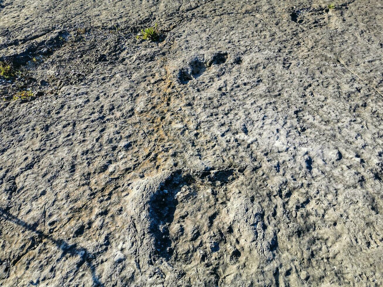 Natural monument of fossil dinosaur footprints in Serra D 'Aire in Pedreira do Galinha, in Portugal. A pedagogical circuit was created at the site, where visitors can see and touch the footprints photo