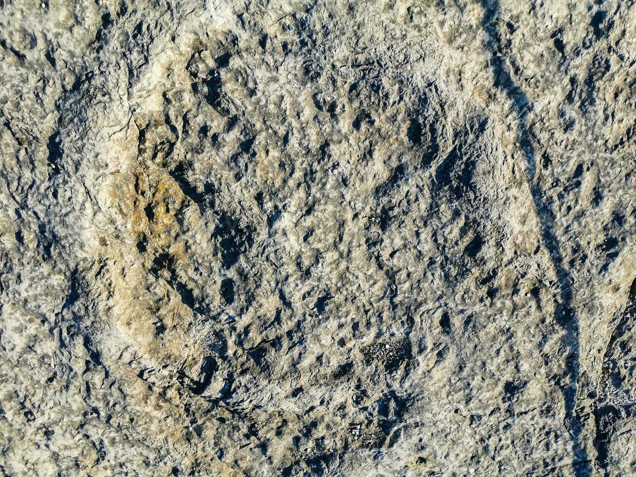 Natural monument of fossil dinosaur footprints in Serra D 'Aire in Pedreira do Galinha, in Portugal. A pedagogical circuit was created at the site, where visitors can see and touch the footprints photo