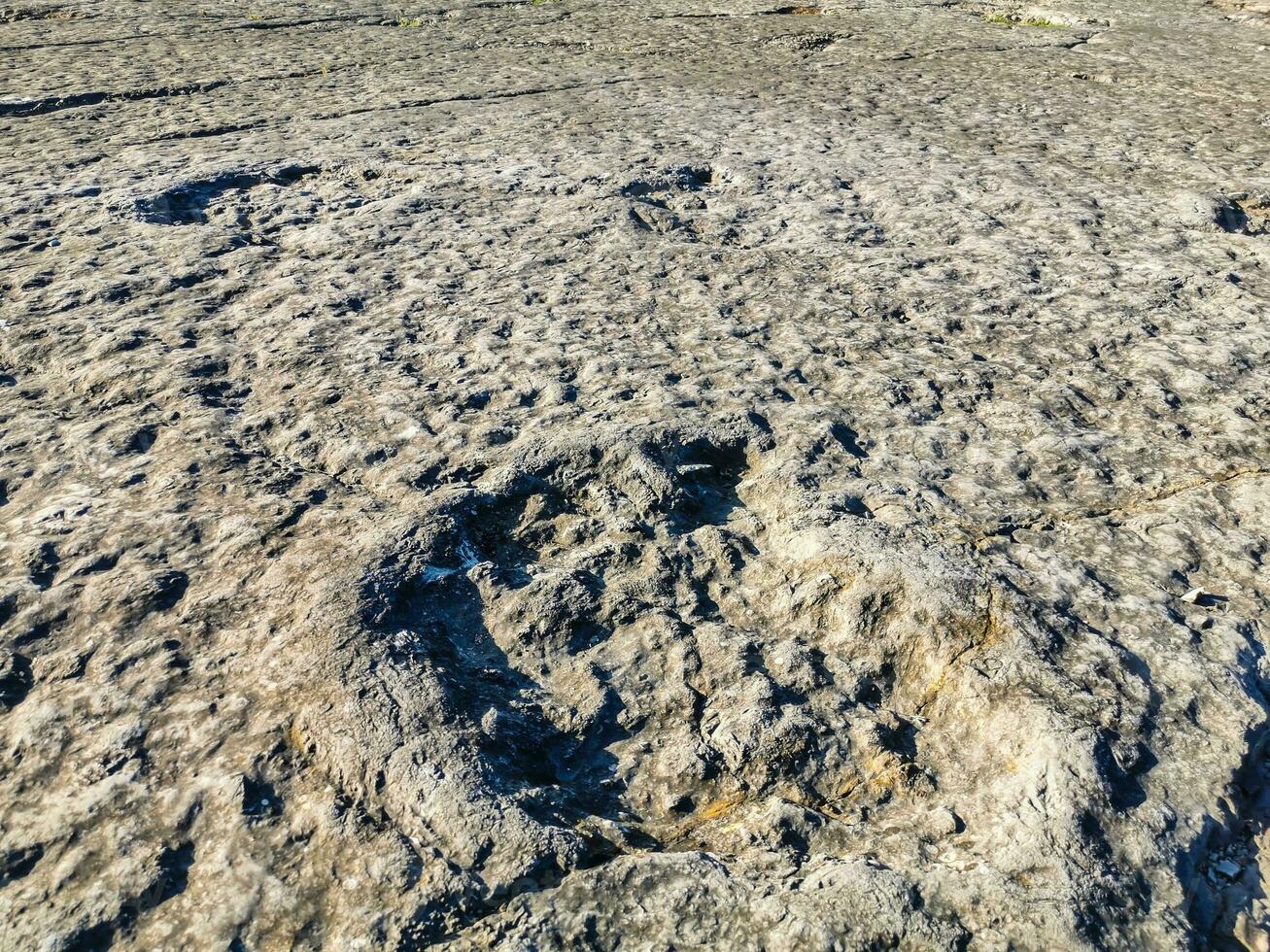 Natural monument of fossil dinosaur footprints in Serra D 'Aire in Pedreira do Galinha, in Portugal. A pedagogical circuit was created at the site, where visitors can see and touch the footprints photo