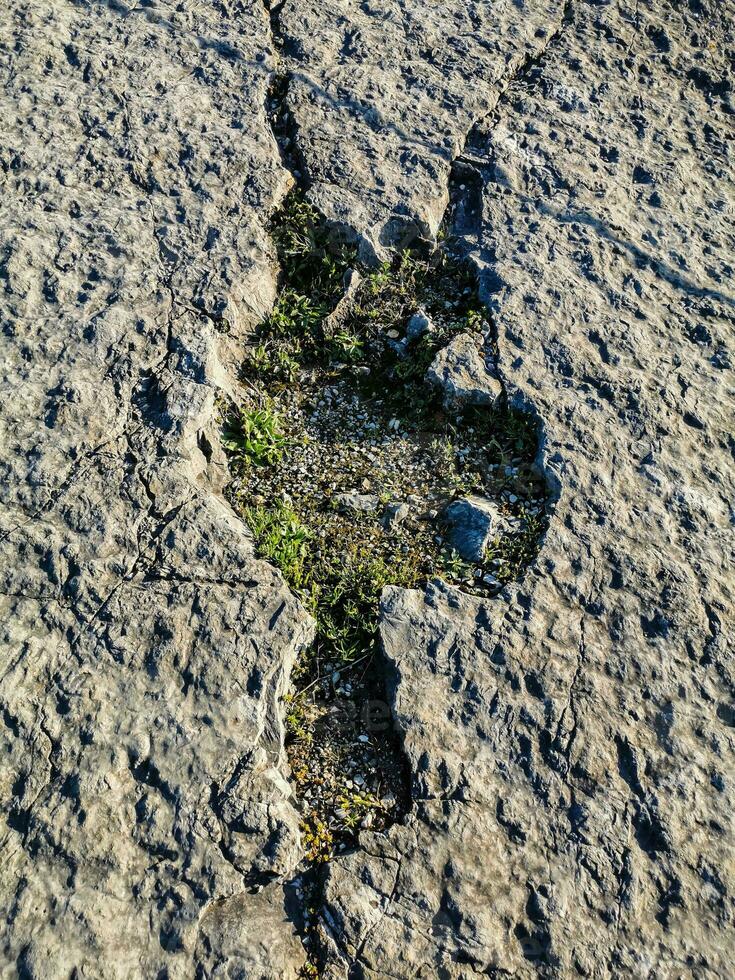 Natural monument of fossil dinosaur footprints in Serra D 'Aire in Pedreira do Galinha, in Portugal. A pedagogical circuit was created at the site, where visitors can see and touch the footprints photo