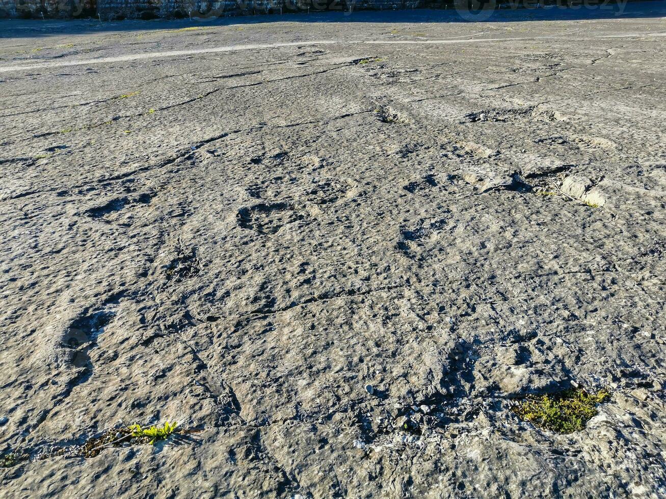 Natural monument of fossil dinosaur footprints in Serra D 'Aire in Pedreira do Galinha, in Portugal. A pedagogical circuit was created at the site, where visitors can see and touch the footprints photo