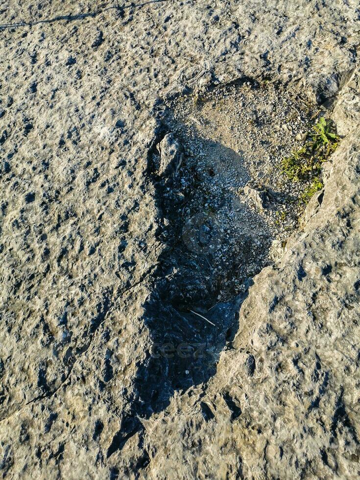 Natural monument of fossil dinosaur footprints in Serra D 'Aire in Pedreira do Galinha, in Portugal. A pedagogical circuit was created at the site, where visitors can see and touch the footprints photo