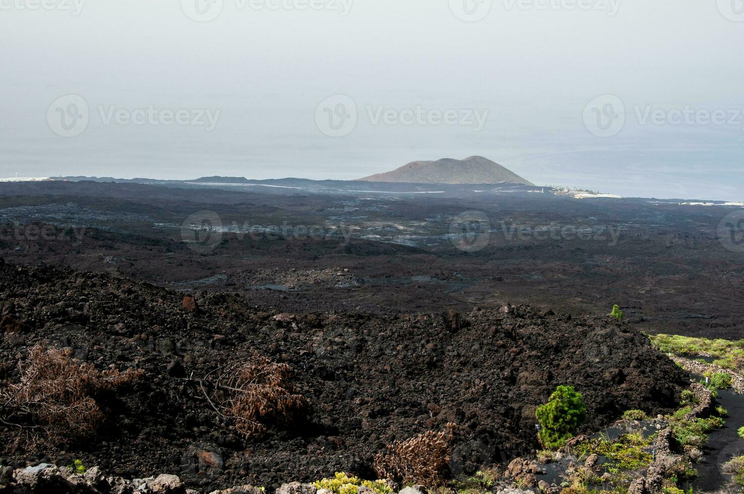 Solidified volcanic lava stream from the Cumbre Vieja volcano on the island of La Palma photo