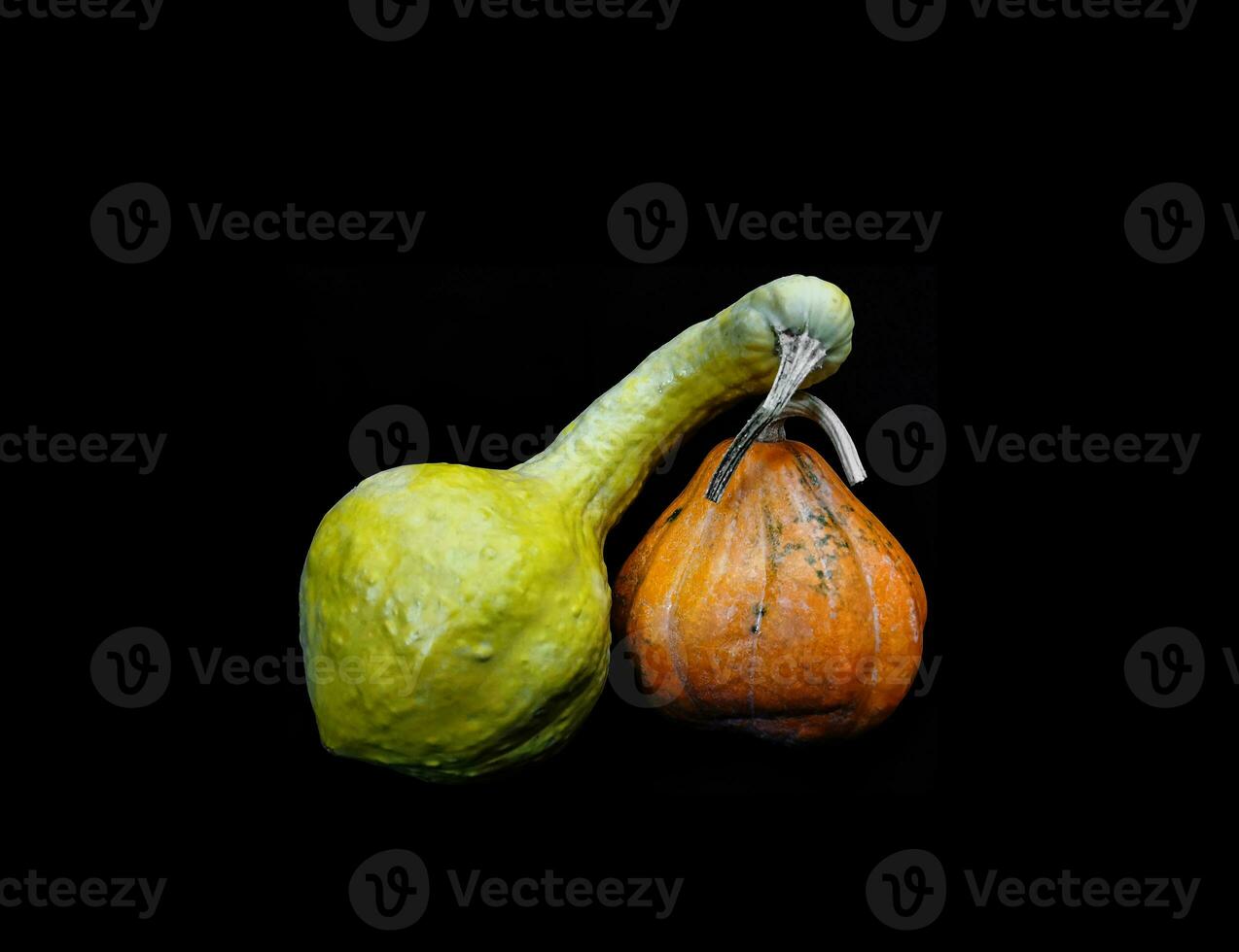 decorativo calabazas en diferente formas y colores foto