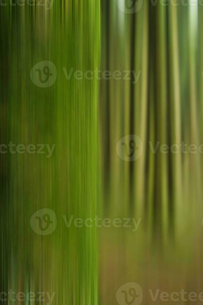 Intentional Camera Movement landscape with trees photo