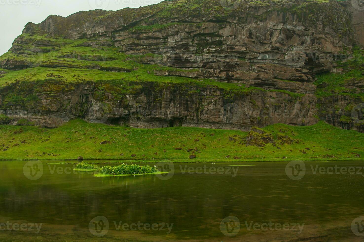 detalle de de islandia lozano natural paisaje foto