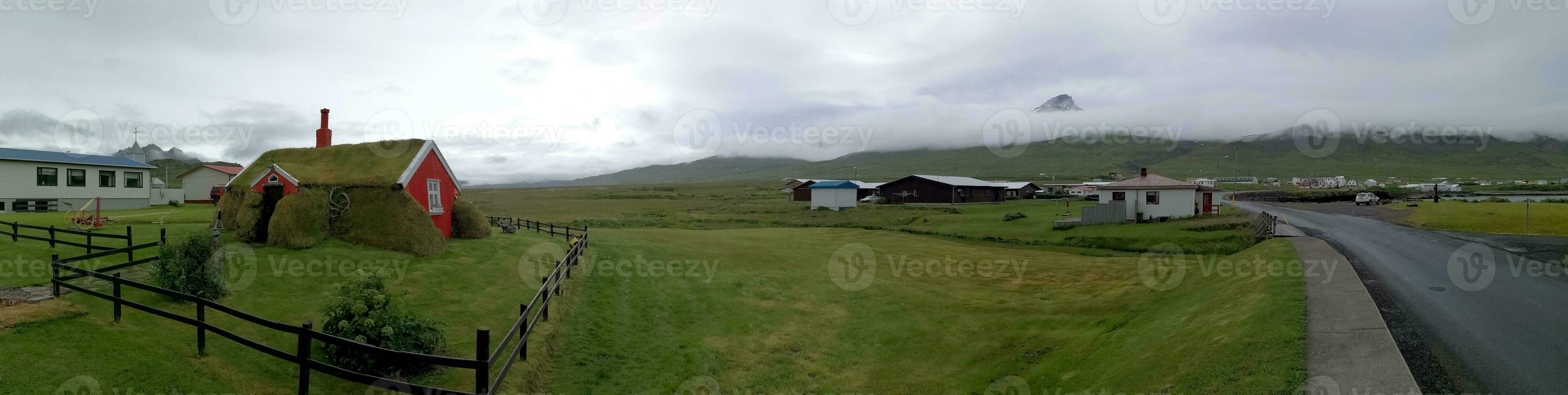 Detail of Iceland's lush natural landscape photo