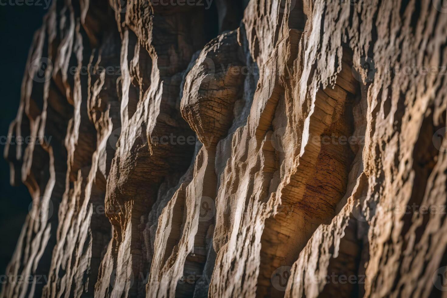 An old picture of a wall that is made of stones that are very old. Over time, you can see how nature has changed things.. Creative resource, photo