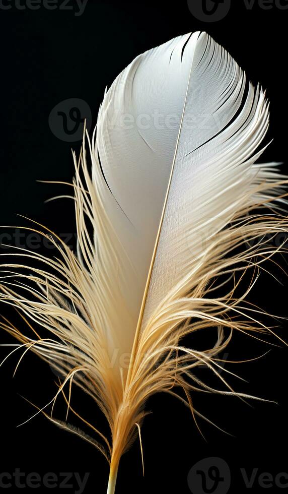 Closeup of white feather on black background. AI generated photo