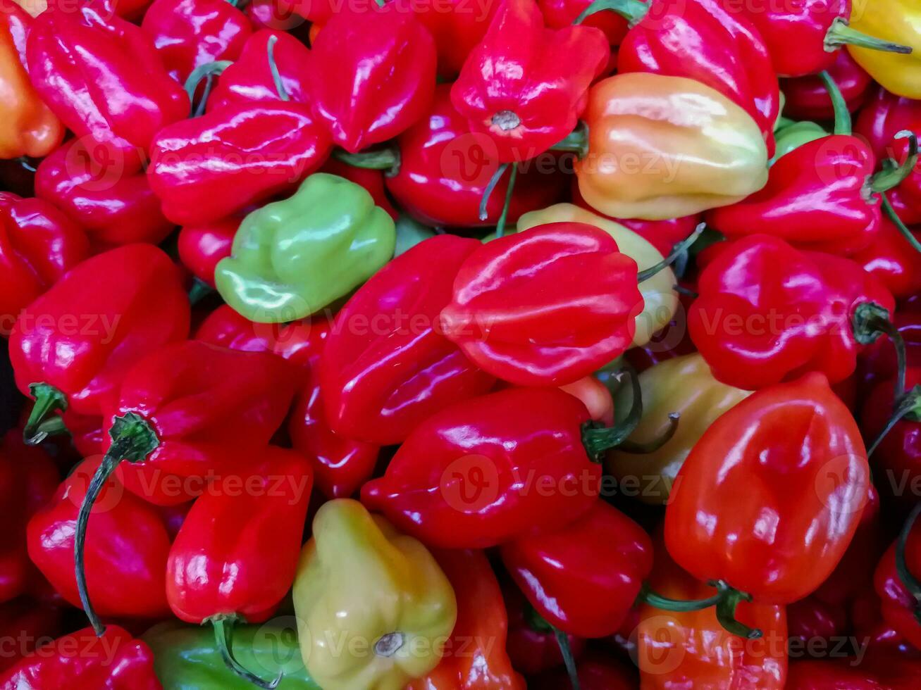 Texture and color on a set of peppers photo