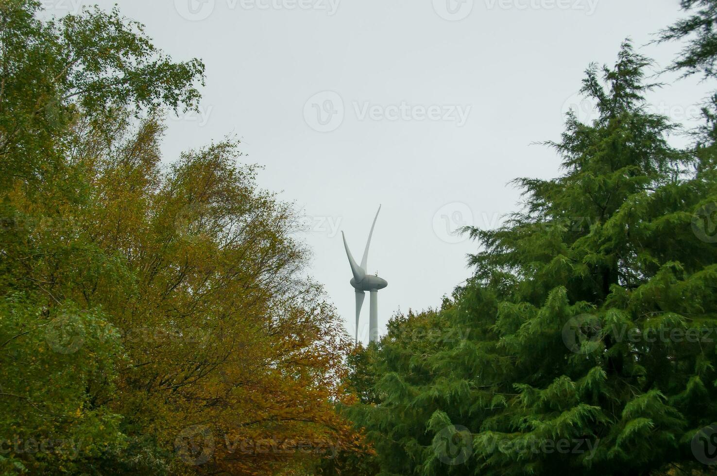 Wind turbines for sustainable electrical consumption photo