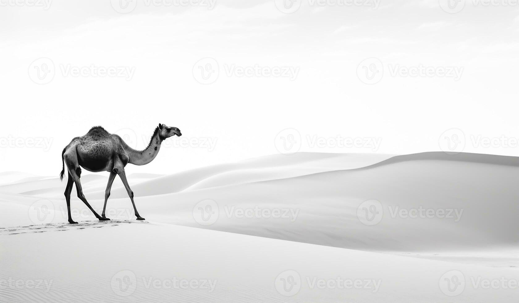 Black and white landscape of camel in the desert. AI generated photo
