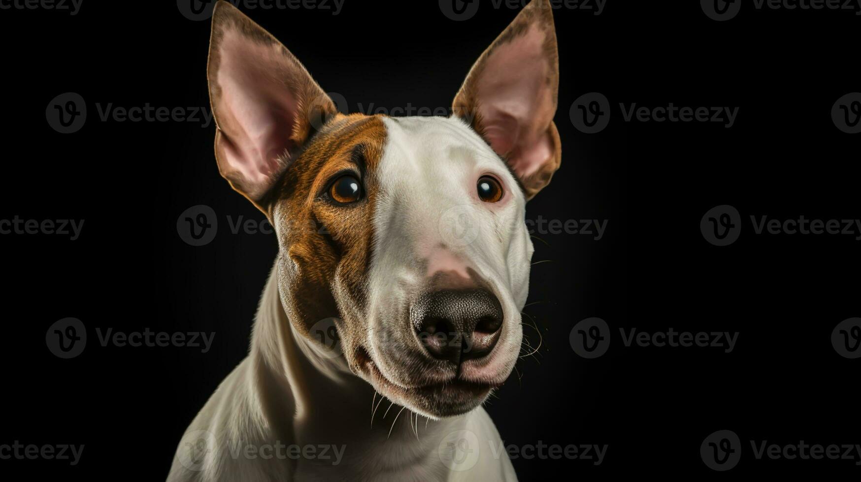 Realistic portrait of Bull Terrier dog. AI generated photo