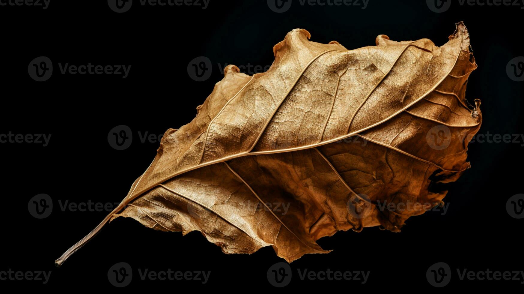 Vibrant autumn old dry leaf on black background. AI generated photo