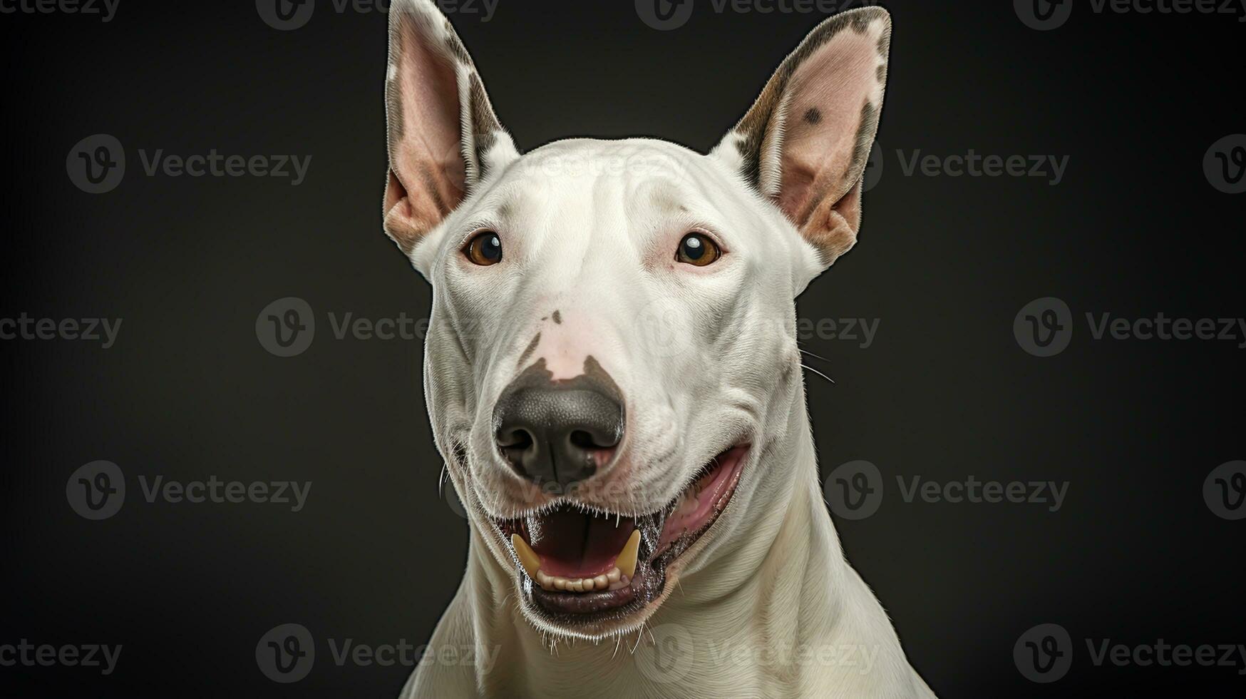 Realistic portrait of Bull Terrier dog. AI generated photo