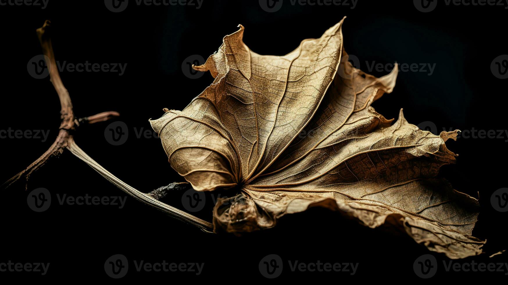 Vibrant autumn old dry leaf on black background. AI generated photo