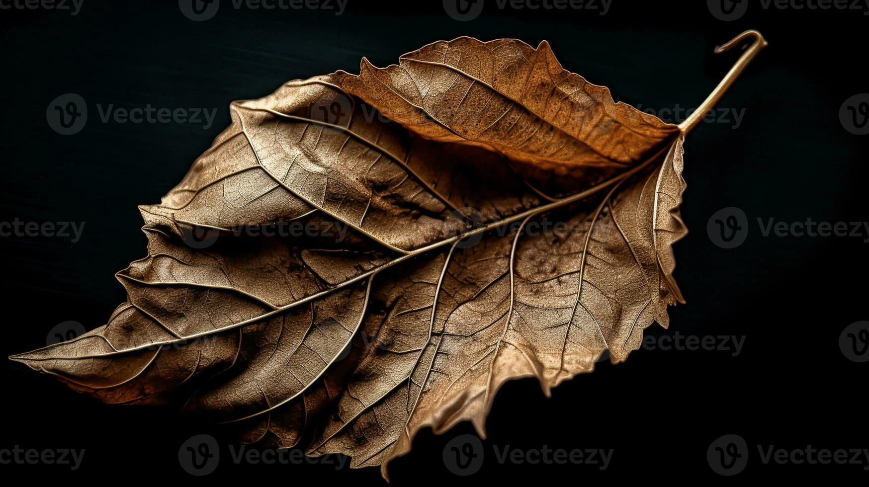 Vibrant autumn old dry leaf on black background. AI generated photo