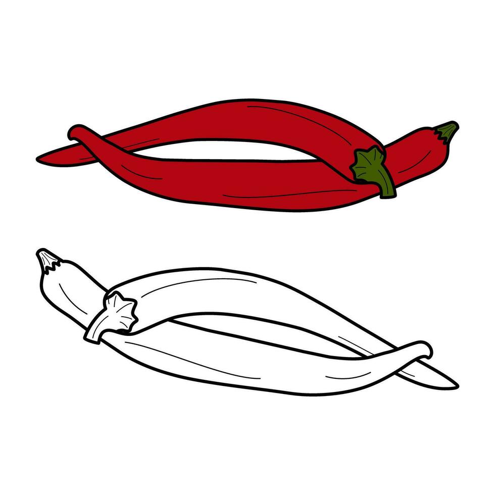 Set of 2 chili pepper vector image hand drawn outline and color drawing. Mexican food. Sticker. Icon