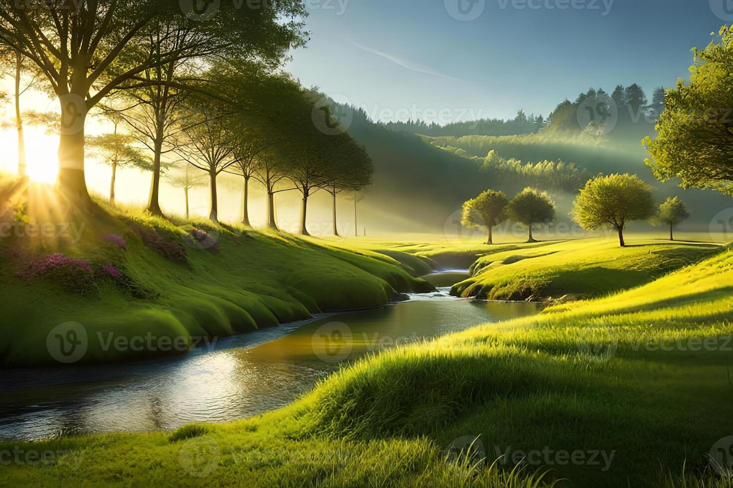 A calm timberland dale with a small stream and sunshine filtering through the canopy. photo