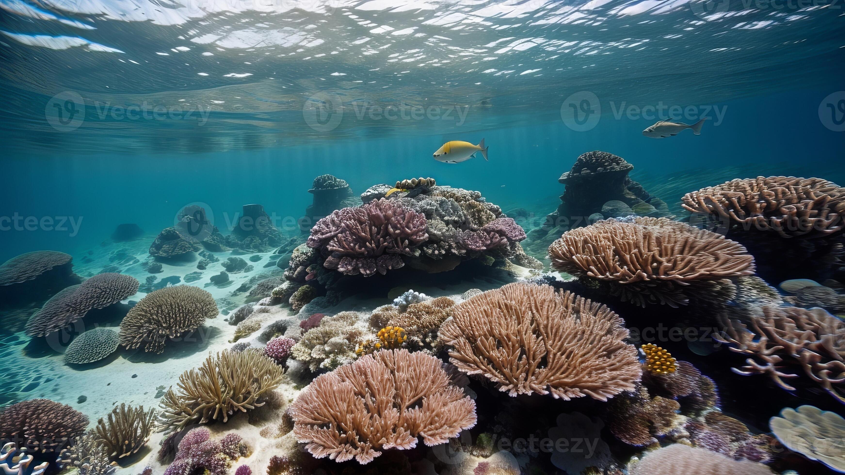 Submerged World With Colorful Coral Reefs Bizarre Marine Life And An Submerged World With Colorful Coral Reefs Bizarre Marine Life And An