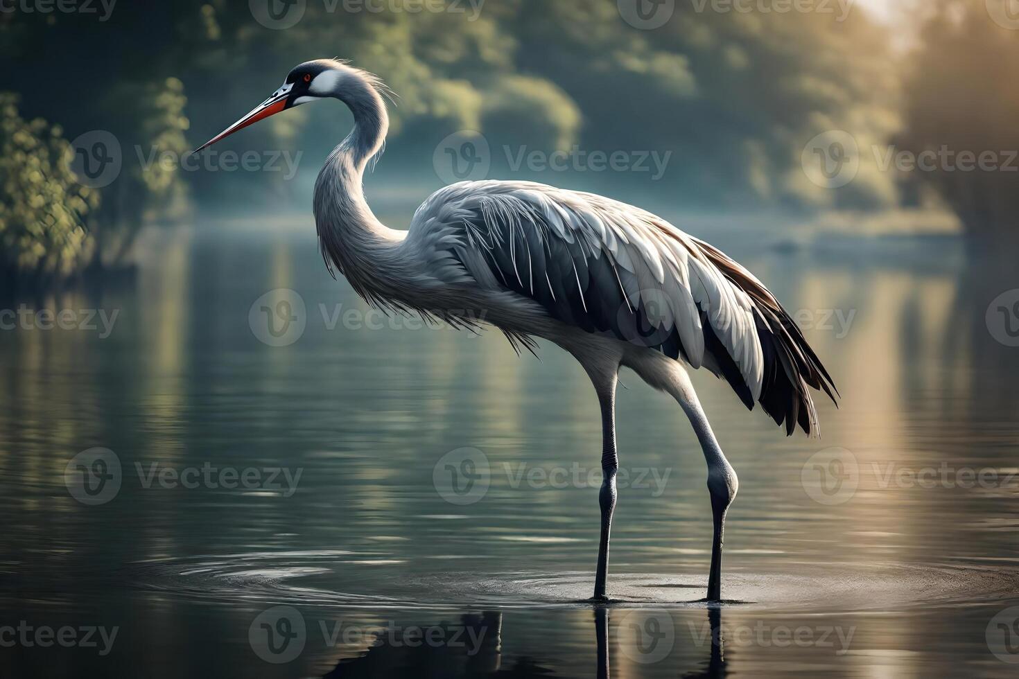 An wealthy crane showcased in peaceful waterside scenes. Creative resource, photo