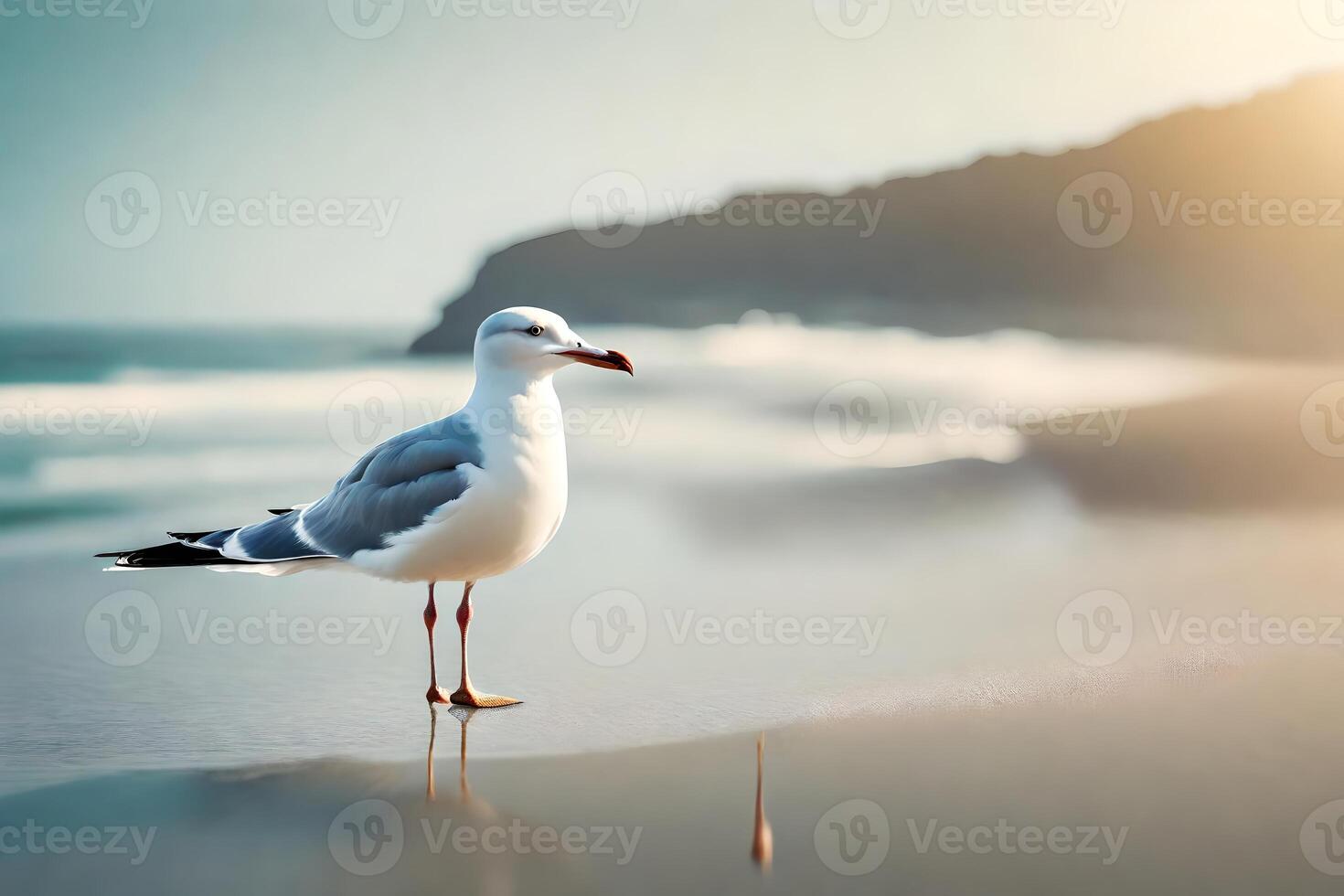A tender seagull depicted in marvelous beachscapes. Creative resource, photo
