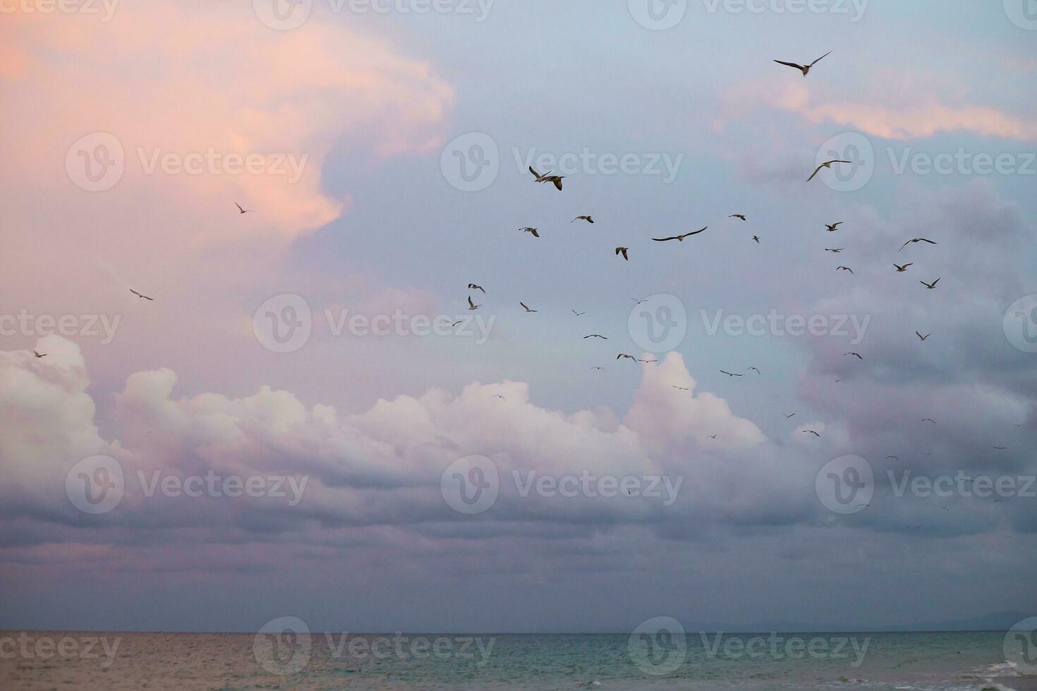 Very beautiful summer sunset on the sea Bulgaria, Nessebar photo