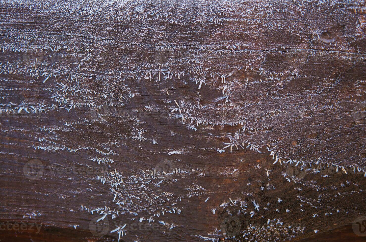 The brown wood texture with snow flakes over it. Winter background photo