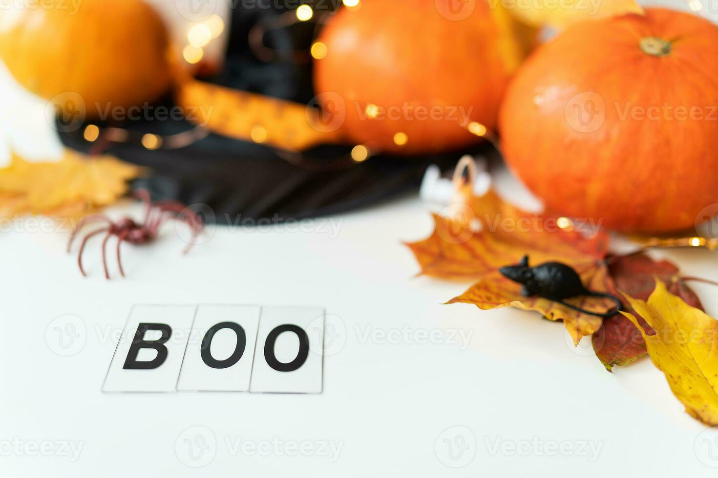 Boo inscription isolated on white background. Against the background of a spider, a mouse, a hat, yellow leaves. Holiday and party concept. photo