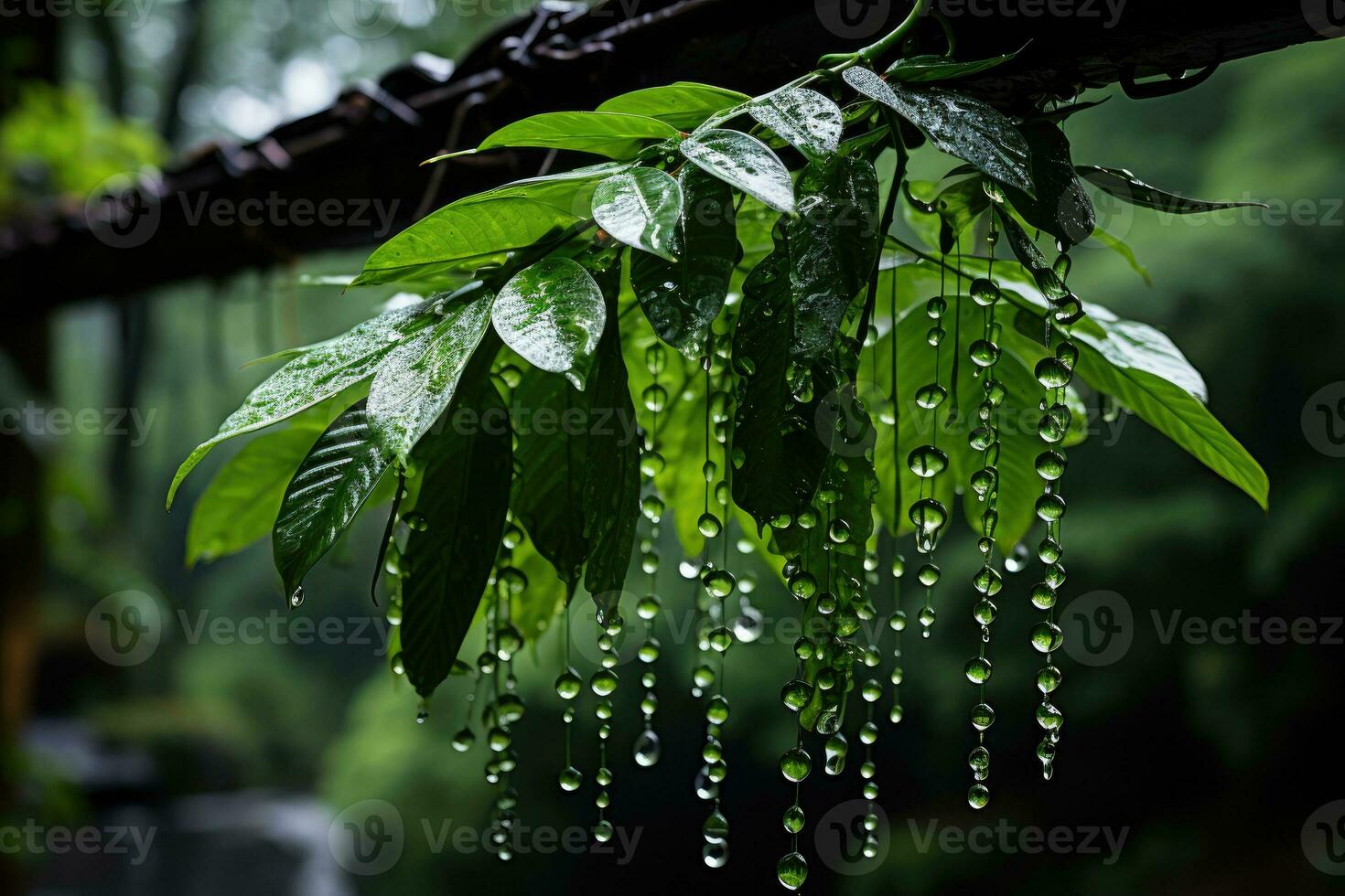 Close - up shot of a lush, verdant rainforest, dew drops clinging to leaves. Generative AI photo
