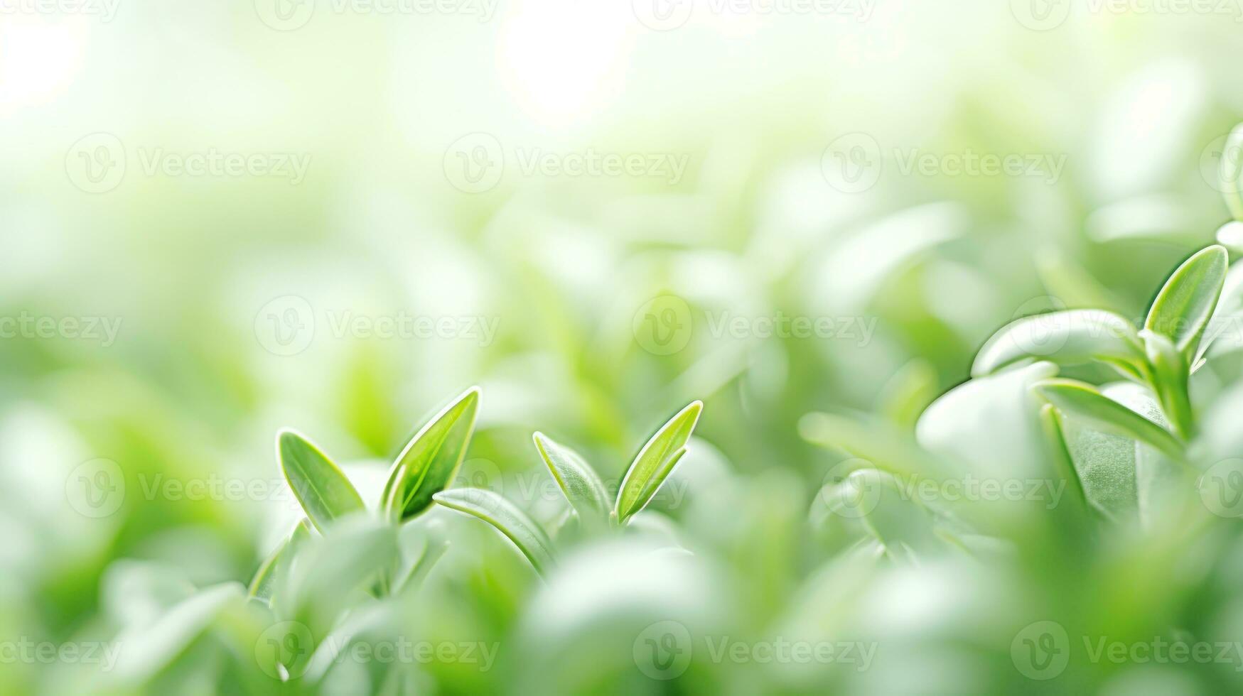 vibrante planta texturizado antecedentes exhibiendo naturaleza elementos.. generativo ai foto