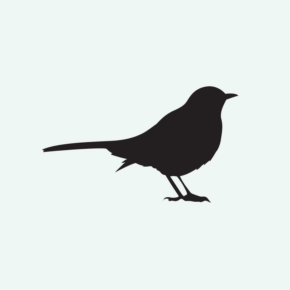 Bird vector png