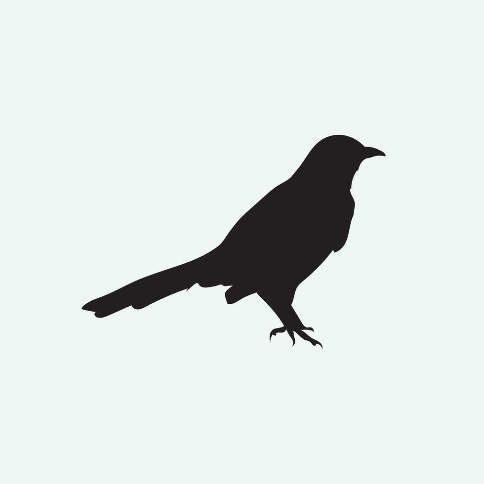 pájaro vector png