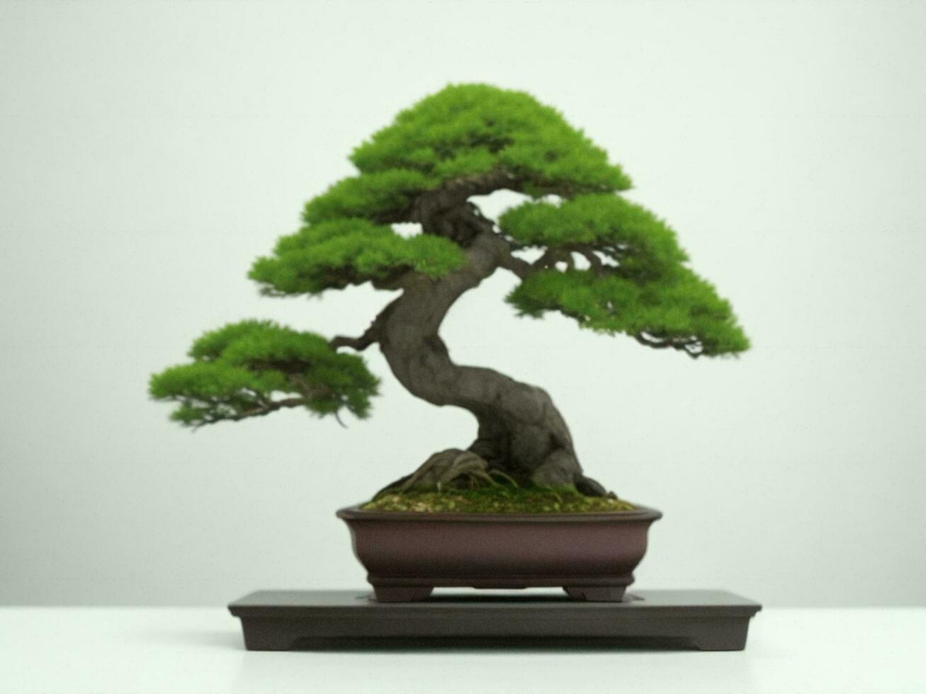 Beautiful expensive bonsai tree on white background ai generated photo