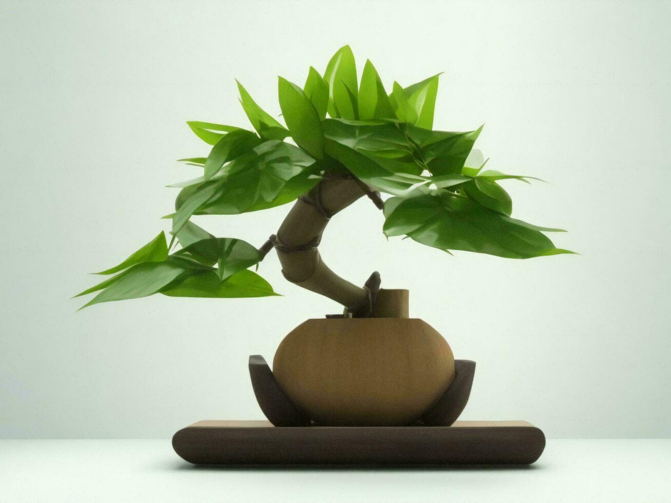 Beautiful expensive bonsai tree on white background ai generated photo