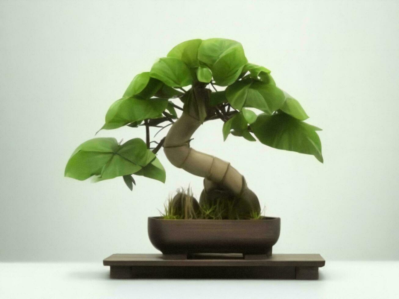 Beautiful expensive bonsai tree on white background ai generated photo