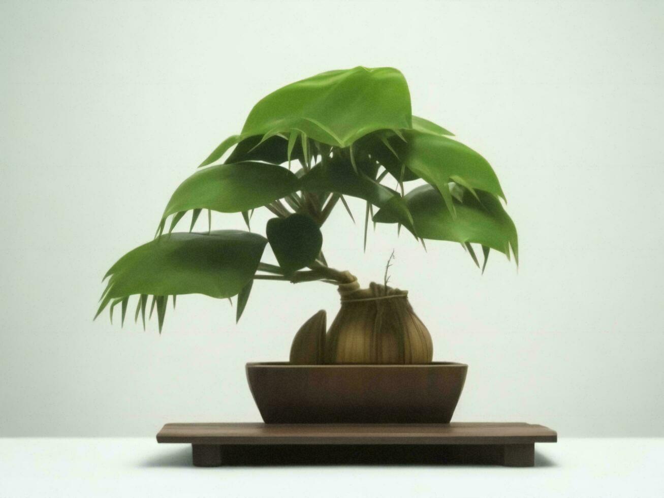 Beautiful expensive bonsai tree on white background ai generated photo