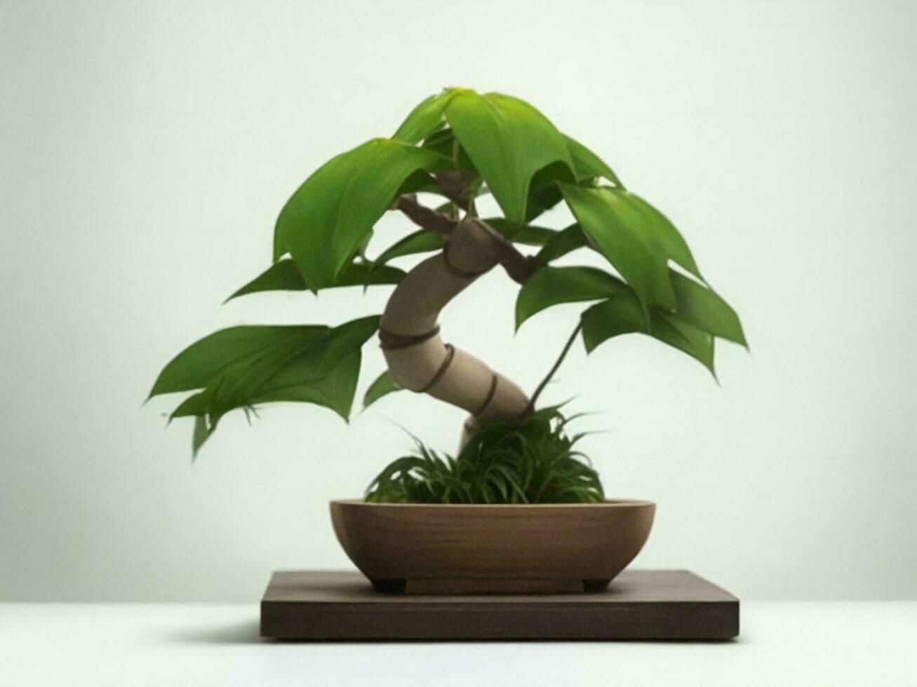 Beautiful expensive bonsai tree on white background ai generated photo