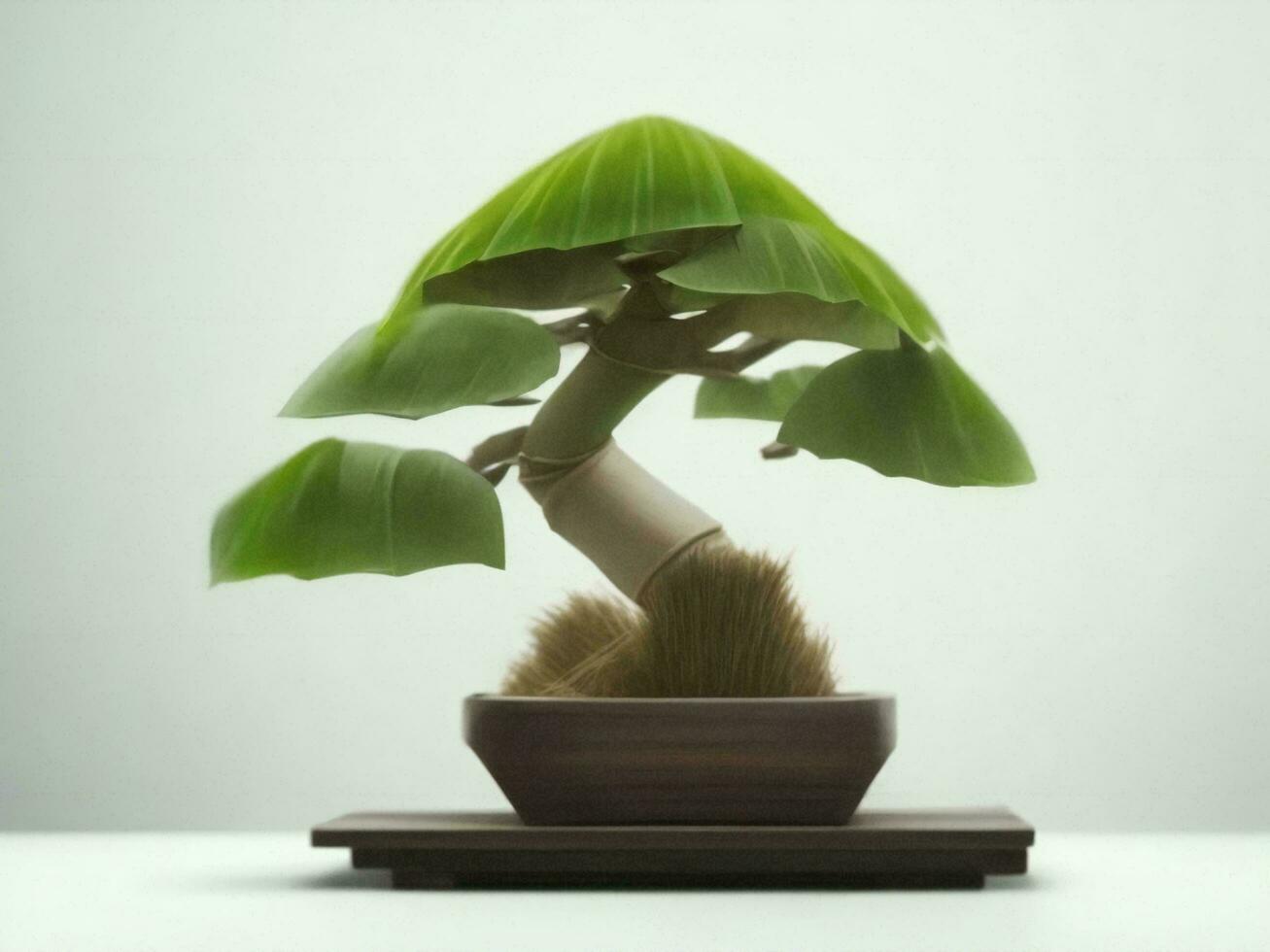 Beautiful expensive bonsai tree on white background ai generated photo