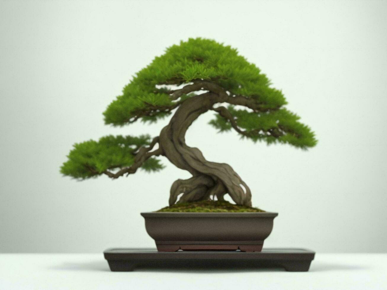 Beautiful expensive bonsai tree on white background ai generated photo