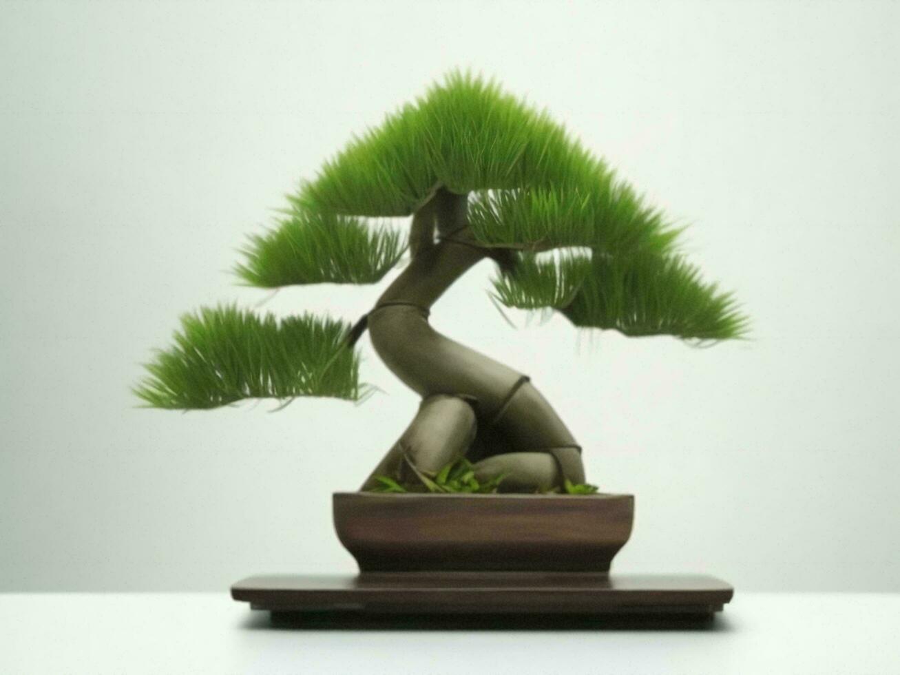 Beautiful expensive bonsai tree on white background ai generated photo