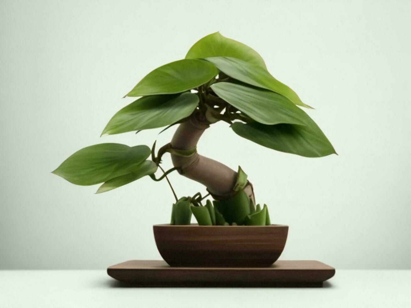 Beautiful expensive bonsai tree on white background ai generated photo