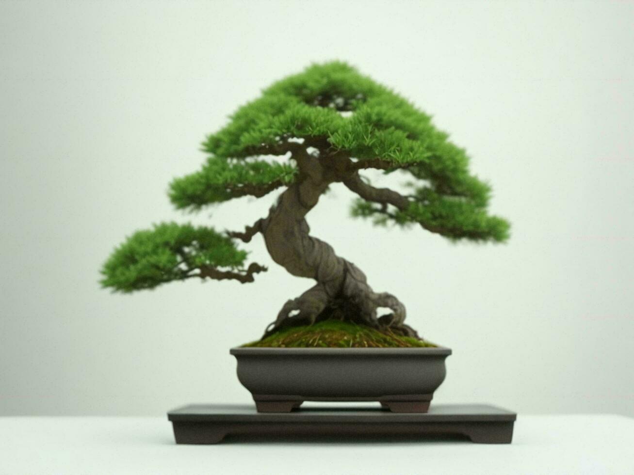 Beautiful expensive bonsai tree on white background ai generated photo