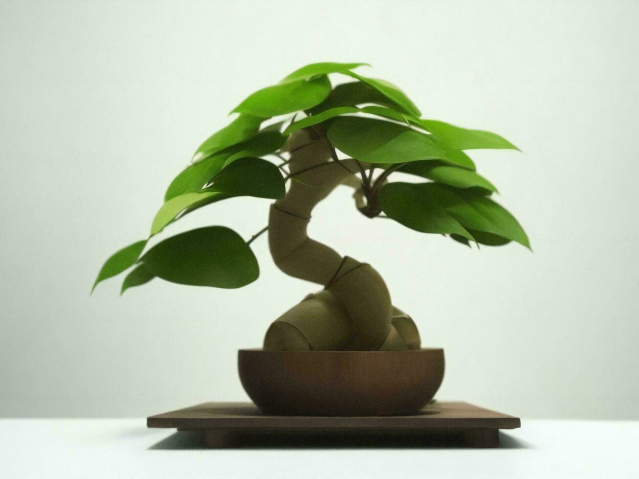 Beautiful expensive bonsai tree on white background ai generated photo