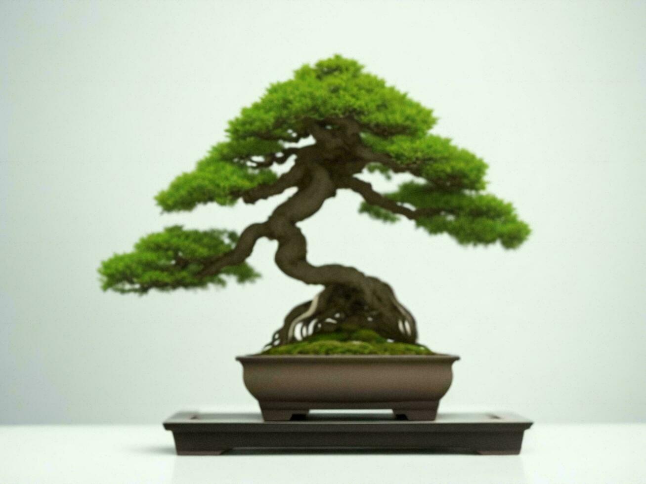 Beautiful expensive bonsai tree on white background ai generated photo